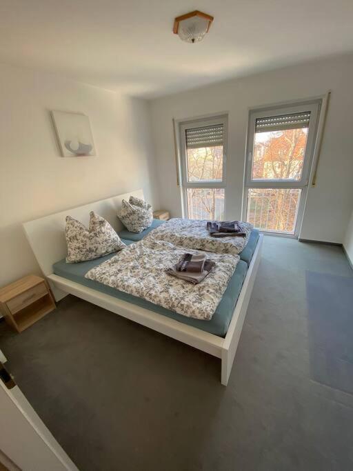 Apartment Schoene 2-raumwohnung In Dresden